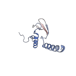 16702_8cku_b_v1-6
Translocation intermediate 1 (TI-1*) of 80S S. cerevisiae ribosome with ligands and eEF2 in the absence of sordarin