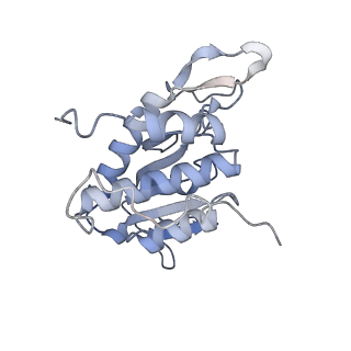 16702_8cku_d_v1-5
Translocation intermediate 1 (TI-1*) of 80S S. cerevisiae ribosome with ligands and eEF2 in the absence of sordarin