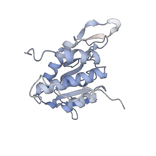 16702_8cku_d_v1-6
Translocation intermediate 1 (TI-1*) of 80S S. cerevisiae ribosome with ligands and eEF2 in the absence of sordarin