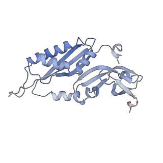 16702_8cku_e_v1-6
Translocation intermediate 1 (TI-1*) of 80S S. cerevisiae ribosome with ligands and eEF2 in the absence of sordarin