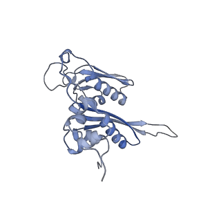 16702_8cku_f_v1-5
Translocation intermediate 1 (TI-1*) of 80S S. cerevisiae ribosome with ligands and eEF2 in the absence of sordarin