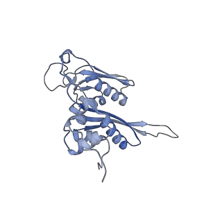 16702_8cku_f_v1-6
Translocation intermediate 1 (TI-1*) of 80S S. cerevisiae ribosome with ligands and eEF2 in the absence of sordarin