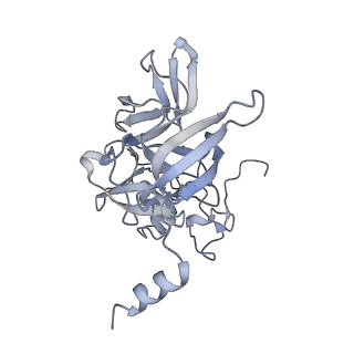 16702_8cku_h_v1-5
Translocation intermediate 1 (TI-1*) of 80S S. cerevisiae ribosome with ligands and eEF2 in the absence of sordarin