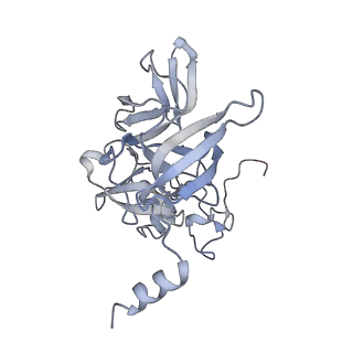 16702_8cku_h_v1-6
Translocation intermediate 1 (TI-1*) of 80S S. cerevisiae ribosome with ligands and eEF2 in the absence of sordarin