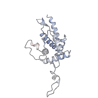 16702_8cku_i_v1-6
Translocation intermediate 1 (TI-1*) of 80S S. cerevisiae ribosome with ligands and eEF2 in the absence of sordarin