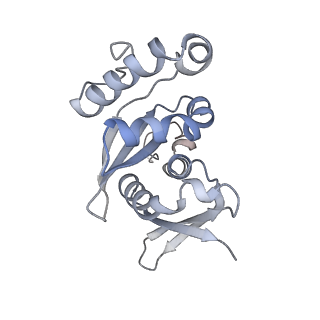 16702_8cku_k_v1-6
Translocation intermediate 1 (TI-1*) of 80S S. cerevisiae ribosome with ligands and eEF2 in the absence of sordarin