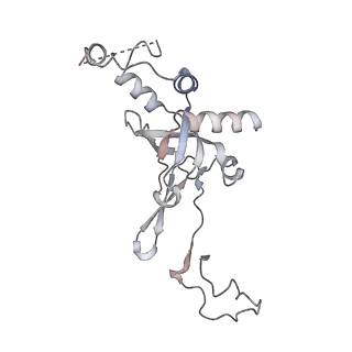 16702_8cku_l_v1-5
Translocation intermediate 1 (TI-1*) of 80S S. cerevisiae ribosome with ligands and eEF2 in the absence of sordarin