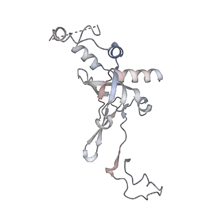 16702_8cku_l_v1-6
Translocation intermediate 1 (TI-1*) of 80S S. cerevisiae ribosome with ligands and eEF2 in the absence of sordarin