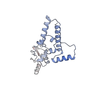 16702_8cku_m_v1-6
Translocation intermediate 1 (TI-1*) of 80S S. cerevisiae ribosome with ligands and eEF2 in the absence of sordarin