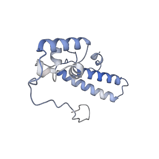 16702_8cku_p_v1-5
Translocation intermediate 1 (TI-1*) of 80S S. cerevisiae ribosome with ligands and eEF2 in the absence of sordarin