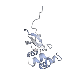 16702_8cku_r_v1-6
Translocation intermediate 1 (TI-1*) of 80S S. cerevisiae ribosome with ligands and eEF2 in the absence of sordarin