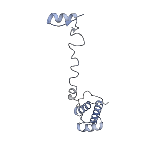 16702_8cku_t_v1-6
Translocation intermediate 1 (TI-1*) of 80S S. cerevisiae ribosome with ligands and eEF2 in the absence of sordarin