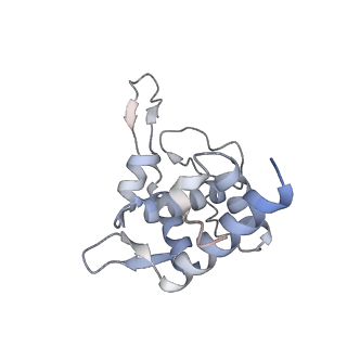 16702_8cku_v_v1-6
Translocation intermediate 1 (TI-1*) of 80S S. cerevisiae ribosome with ligands and eEF2 in the absence of sordarin