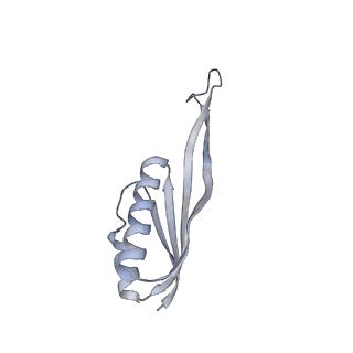 16702_8cku_w_v1-6
Translocation intermediate 1 (TI-1*) of 80S S. cerevisiae ribosome with ligands and eEF2 in the absence of sordarin