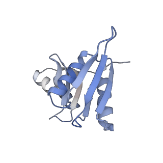 16702_8cku_y_v1-6
Translocation intermediate 1 (TI-1*) of 80S S. cerevisiae ribosome with ligands and eEF2 in the absence of sordarin