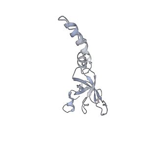 16702_8cku_z_v1-6
Translocation intermediate 1 (TI-1*) of 80S S. cerevisiae ribosome with ligands and eEF2 in the absence of sordarin