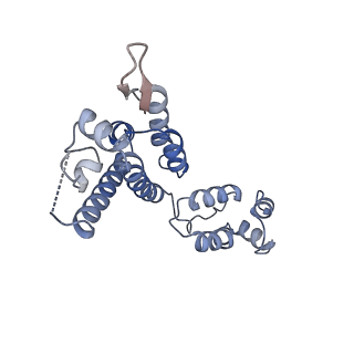 16705_8ckx_A_v1-0
HIV-1 mature capsid hexamer next to pentamer (type I) from CA-IP6 CLPs