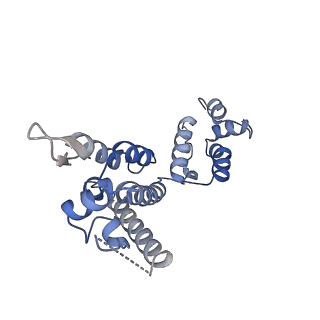 16705_8ckx_B_v1-0
HIV-1 mature capsid hexamer next to pentamer (type I) from CA-IP6 CLPs