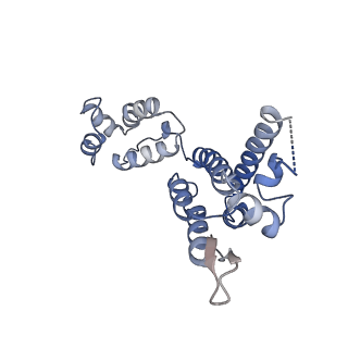 16705_8ckx_D_v1-0
HIV-1 mature capsid hexamer next to pentamer (type I) from CA-IP6 CLPs