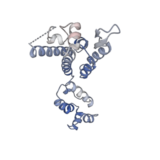 16705_8ckx_F_v1-0
HIV-1 mature capsid hexamer next to pentamer (type I) from CA-IP6 CLPs