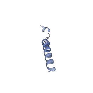 30382_7ck6_G_v1-0
Protein translocase of mitochondria