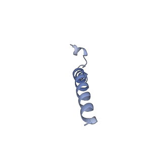 30382_7ck6_G_v1-1
Protein translocase of mitochondria