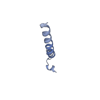 30382_7ck6_H_v1-0
Protein translocase of mitochondria