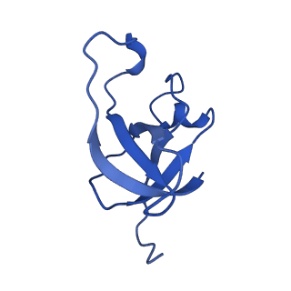 30384_7ckb_AA_v1-1
Simplified Alpha-Carboxysome, T=3