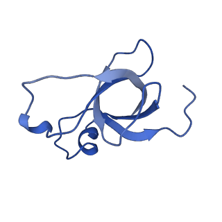 30384_7ckb_Aa_v1-1
Simplified Alpha-Carboxysome, T=3