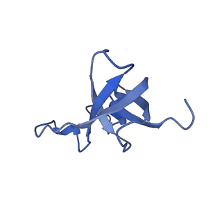 30385_7ckc_AA_v1-1
Simplified Alpha-Carboxysome, T=4