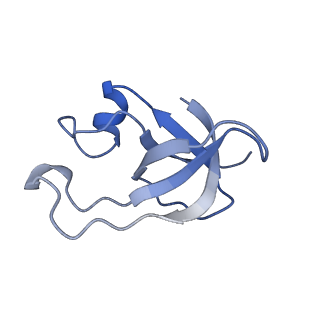 30385_7ckc_Ay_v1-1
Simplified Alpha-Carboxysome, T=4