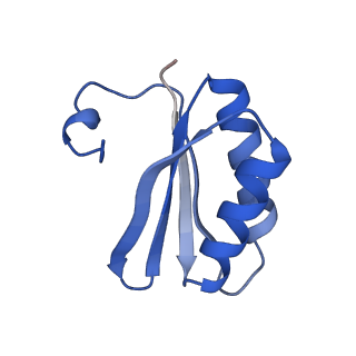 30385_7ckc_BY_v1-1
Simplified Alpha-Carboxysome, T=4