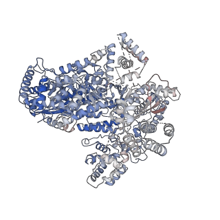 30387_7ckl_A_v1-1
Structure of Lassa virus polymerase bound to Z matrix protein
