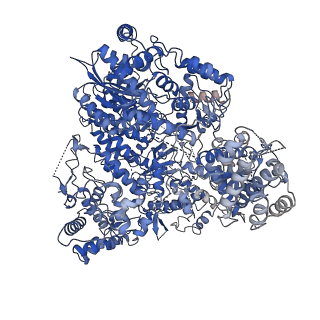 30388_7ckm_A_v1-1
Structure of Machupo virus polymerase bound to Z matrix protein (monomeric complex)