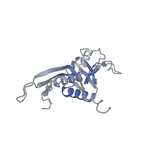 30390_7ckq_A_v1-1
The cryo-EM structure of B. subtilis BmrR transcription activation complex