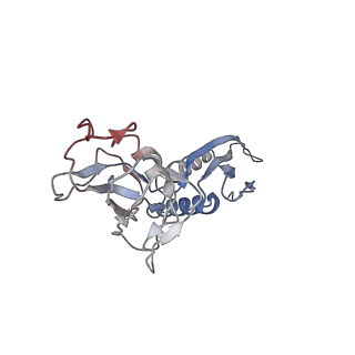 30390_7ckq_B_v1-2
The cryo-EM structure of B. subtilis BmrR transcription activation complex