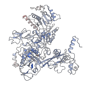 30390_7ckq_C_v1-1
The cryo-EM structure of B. subtilis BmrR transcription activation complex