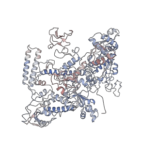 30390_7ckq_D_v1-1
The cryo-EM structure of B. subtilis BmrR transcription activation complex