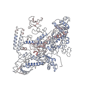 30390_7ckq_D_v1-2
The cryo-EM structure of B. subtilis BmrR transcription activation complex