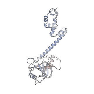 30390_7ckq_G_v1-1
The cryo-EM structure of B. subtilis BmrR transcription activation complex