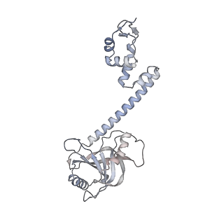 30390_7ckq_G_v1-2
The cryo-EM structure of B. subtilis BmrR transcription activation complex