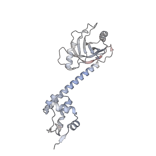 30390_7ckq_I_v1-1
The cryo-EM structure of B. subtilis BmrR transcription activation complex