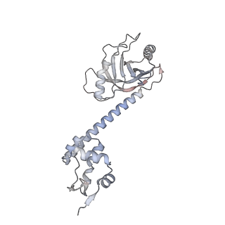 30390_7ckq_I_v1-2
The cryo-EM structure of B. subtilis BmrR transcription activation complex