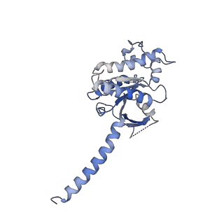 30392_7ckw_A_v1-0
Cryo-EM structure of Fenoldopam bound dopamine receptor DRD1-Gs signaling complex