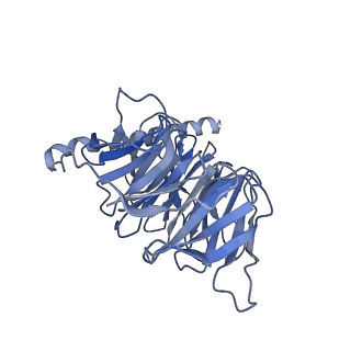 30392_7ckw_B_v1-0
Cryo-EM structure of Fenoldopam bound dopamine receptor DRD1-Gs signaling complex