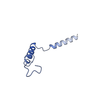 30392_7ckw_G_v1-0
Cryo-EM structure of Fenoldopam bound dopamine receptor DRD1-Gs signaling complex