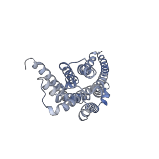 30392_7ckw_R_v1-0
Cryo-EM structure of Fenoldopam bound dopamine receptor DRD1-Gs signaling complex