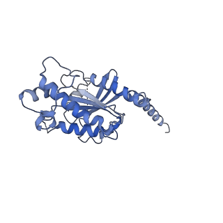 30393_7ckx_A_v1-0
Cryo-EM structure of A77636 bound dopamine receptor DRD1-Gs signaling complex