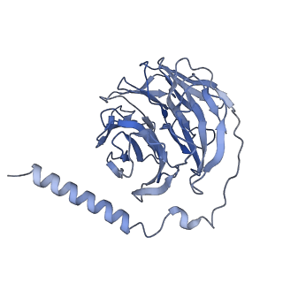 30393_7ckx_B_v1-0
Cryo-EM structure of A77636 bound dopamine receptor DRD1-Gs signaling complex