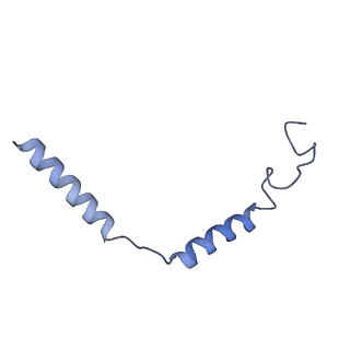 30393_7ckx_G_v1-0
Cryo-EM structure of A77636 bound dopamine receptor DRD1-Gs signaling complex